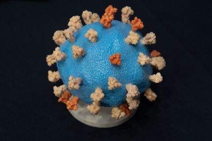 Coronavirus model.