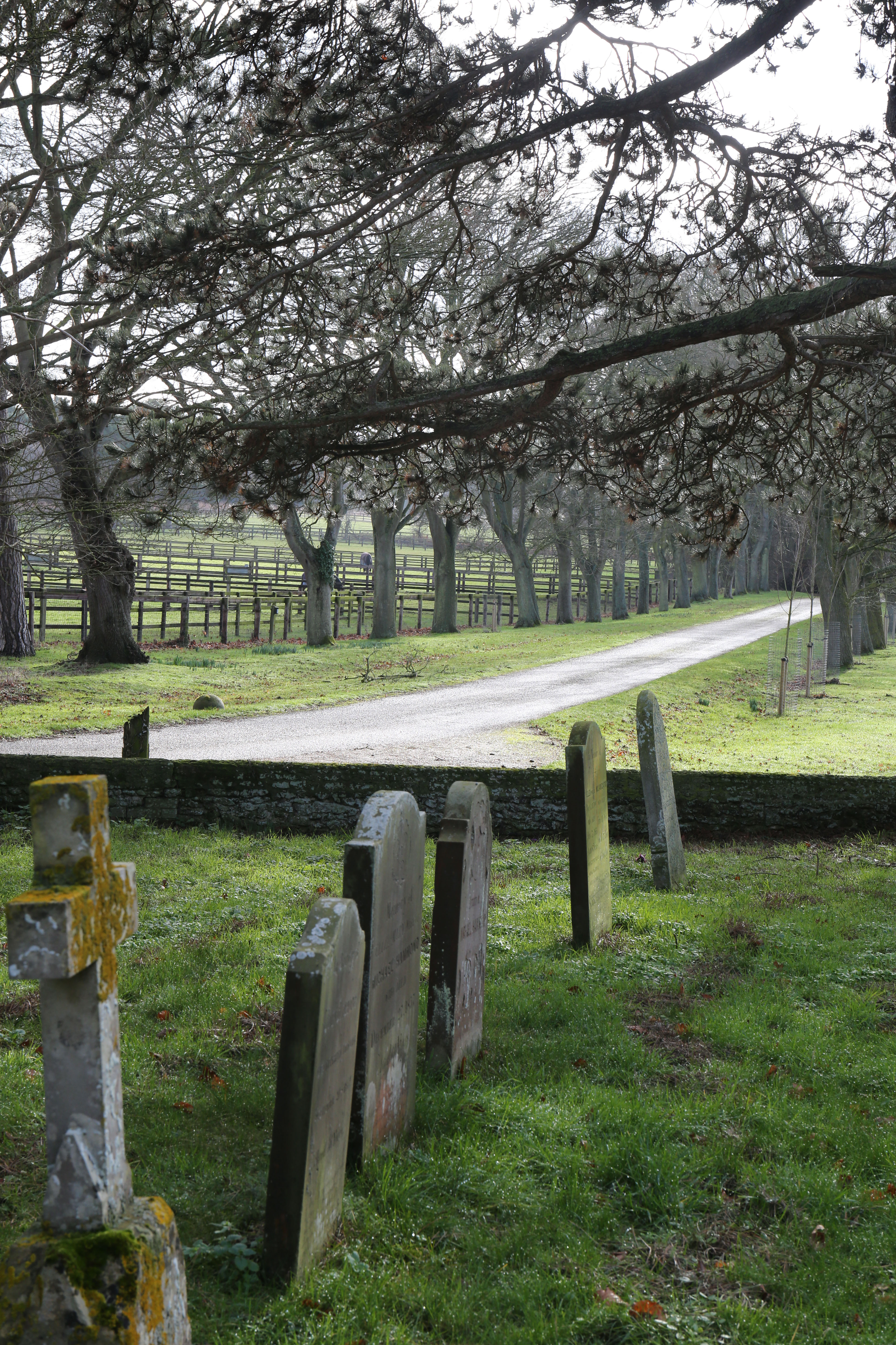 The private road leading to Wood Farm, viewed from a cemetery