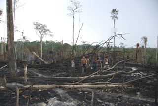 Members of the Awá tribe look over a deforested swatch of land. Illegal logging is increasingly encroaching on Awá territory.