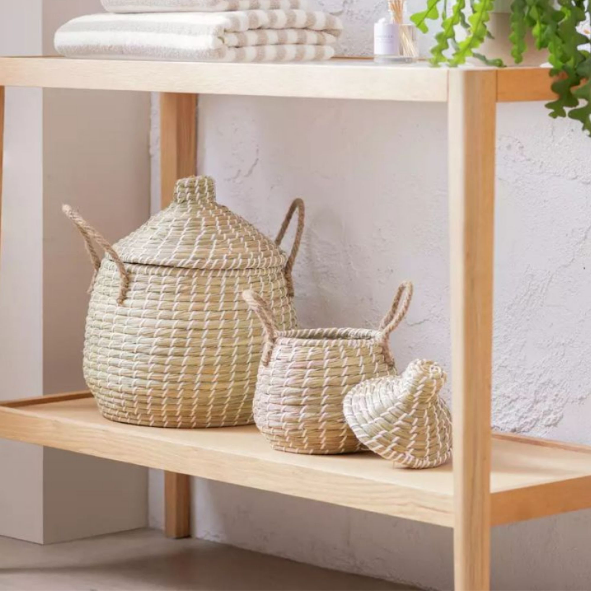 Habitat Pack of 2 Seagrass Lidded Round Basket