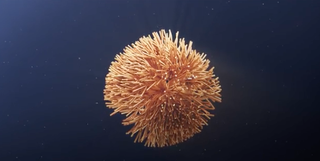 After Effects tutorials: sponge-like creature