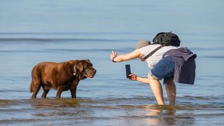 Woman making dog pose for photo in sea