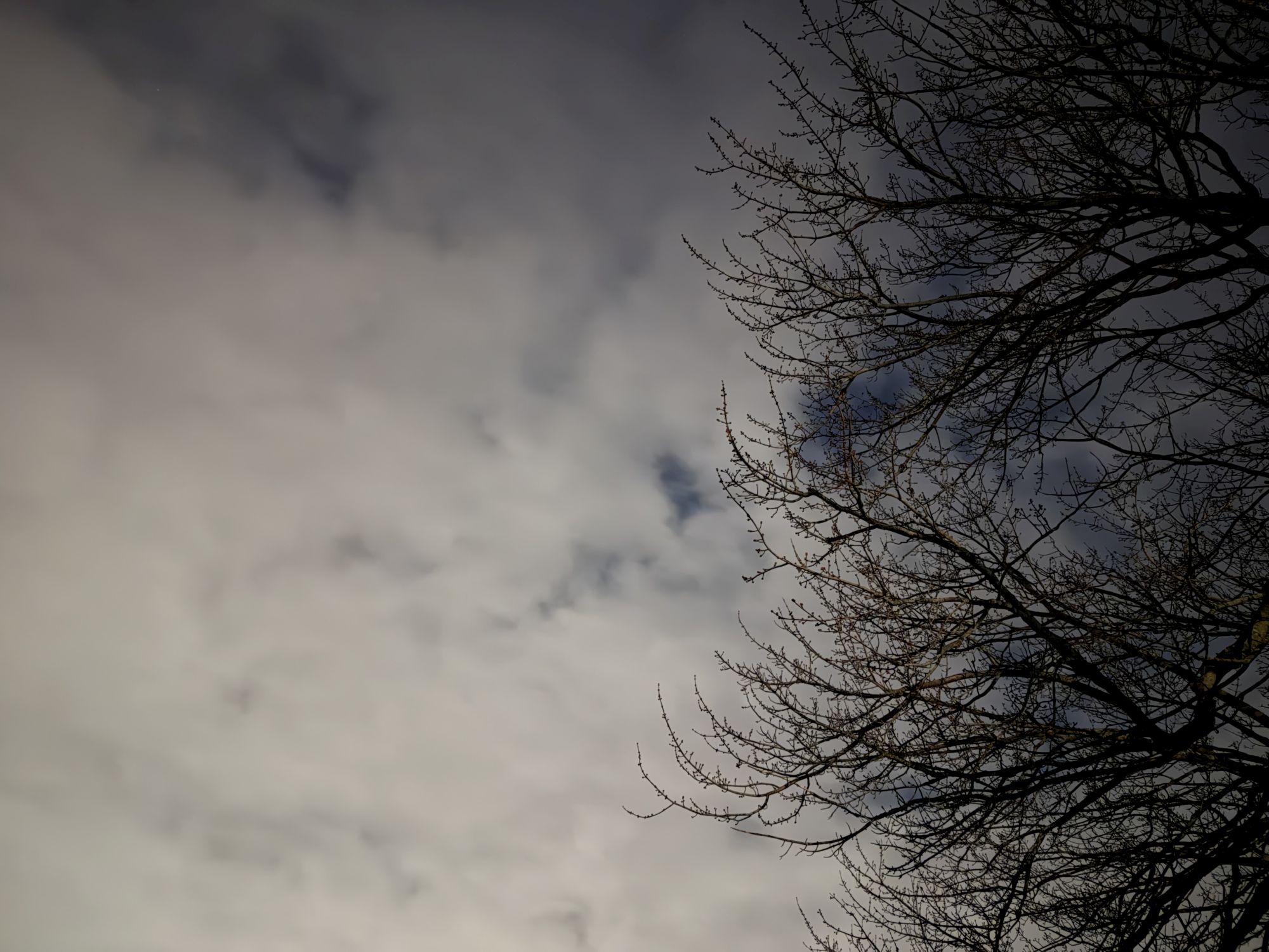 iPhone night mode max sample.