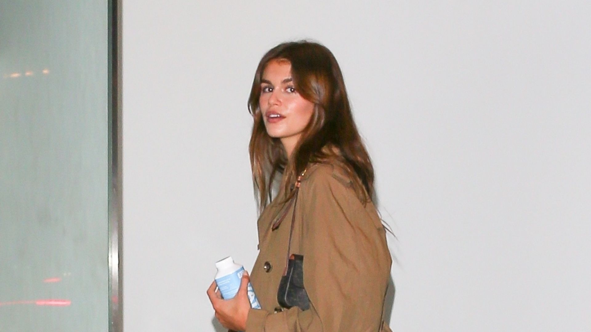 Kaia Gerber Has a *New* Lookalike in This '60s Fashion Icon