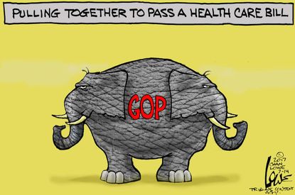 Political cartoon U.S. Trump Republican health care bill divided