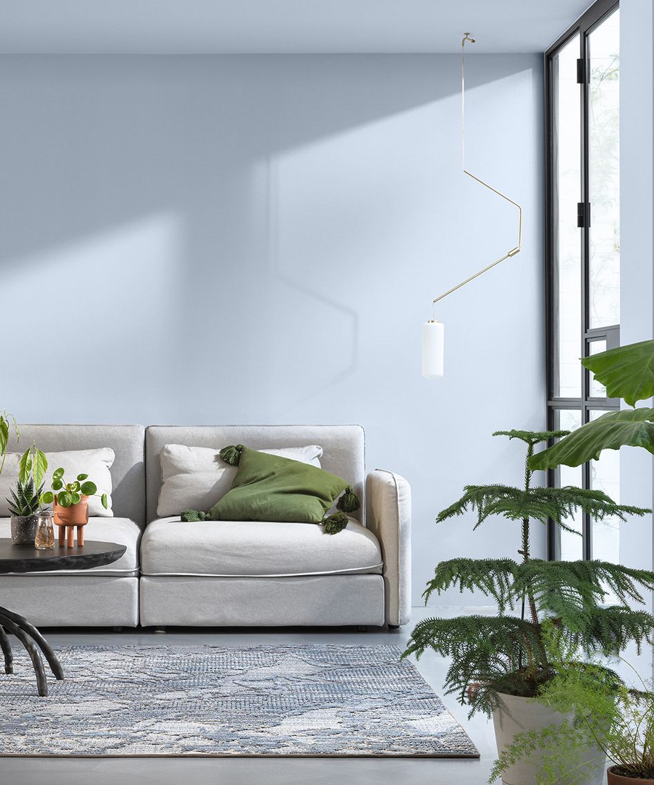 Experts share the exact colors that will complement your houseplants ...