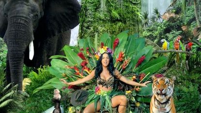 Katy Perry Roar