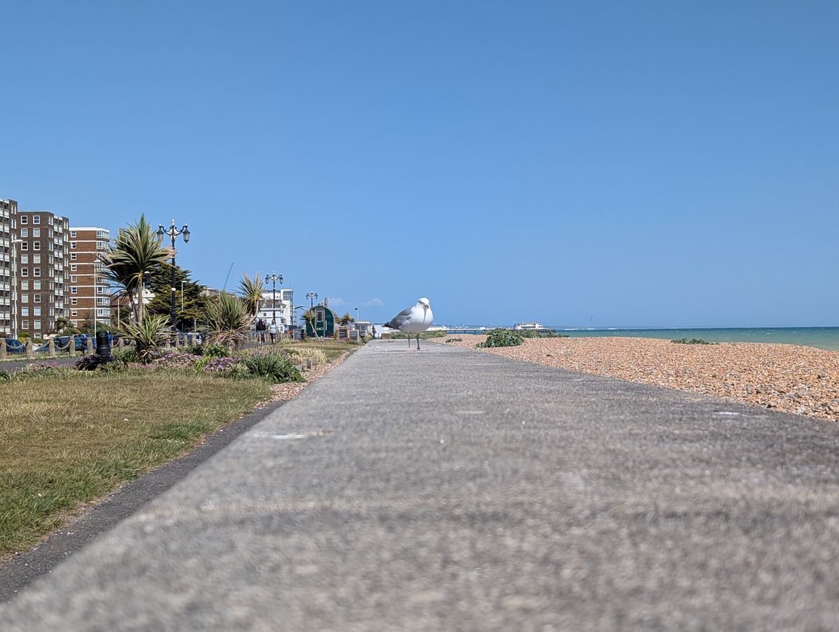 Google Pixel 9 Pro camera sample 2x zoom