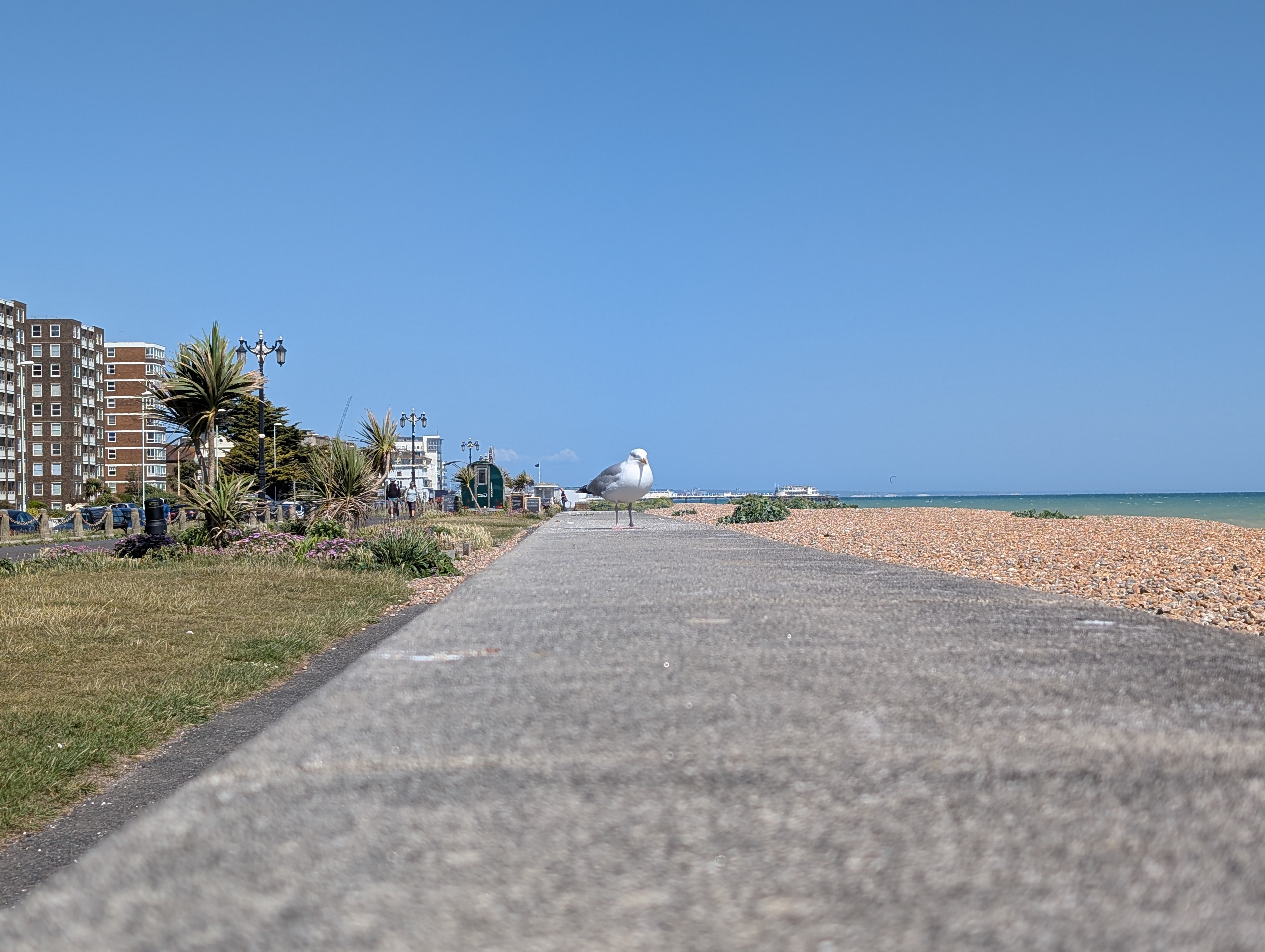 Google Pixel 9 Pro camera sample 2x zoom