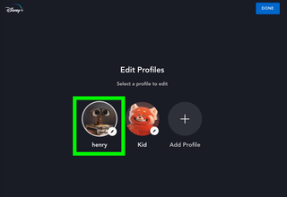 An box highlights a profile in the Disney Plus Edit Profiles page