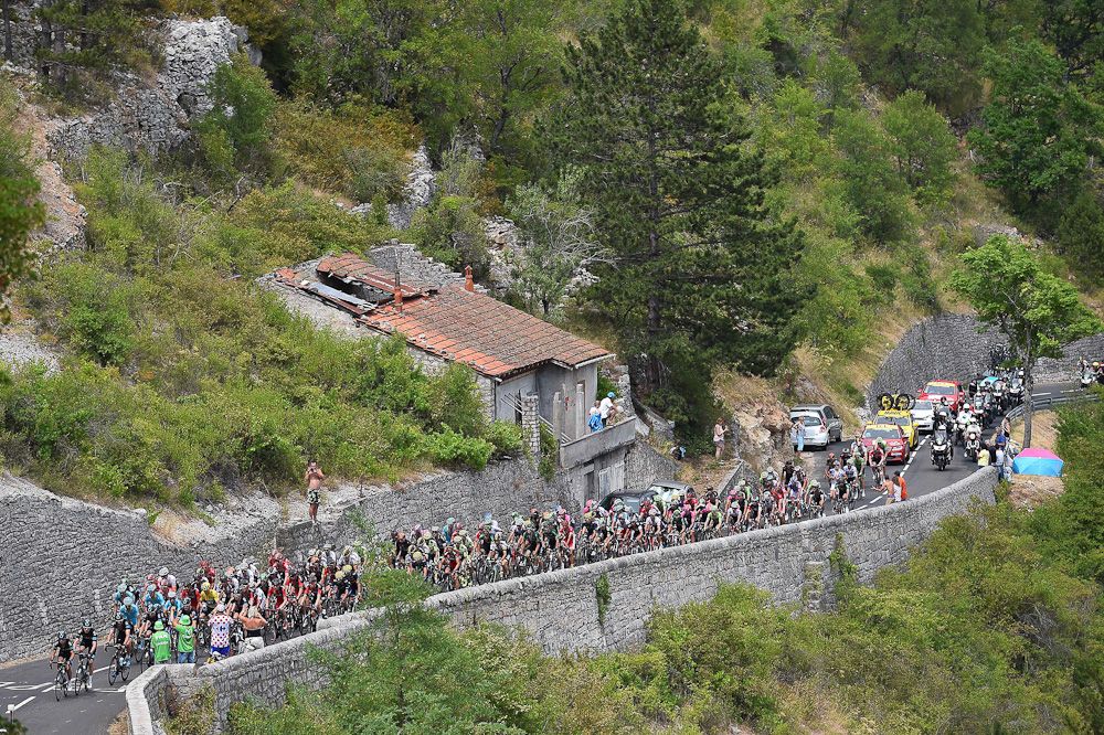 The peloton rolls thorugh the French countryside