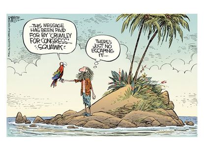 Political cartoon midterm election campaigns island