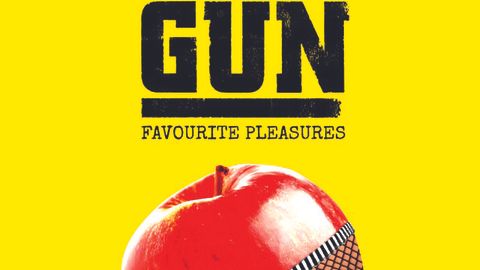 Cover art for Gun - Favourite Pleasures album