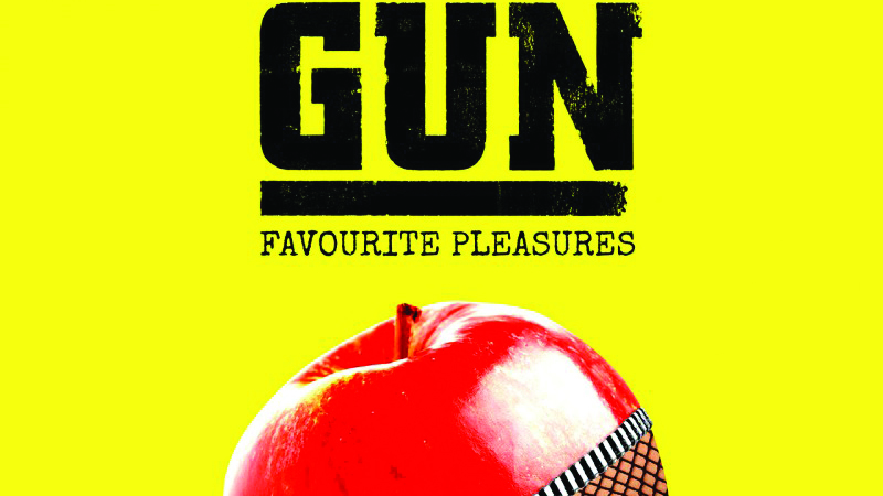 Cover art for Gun - Favourite Pleasures album