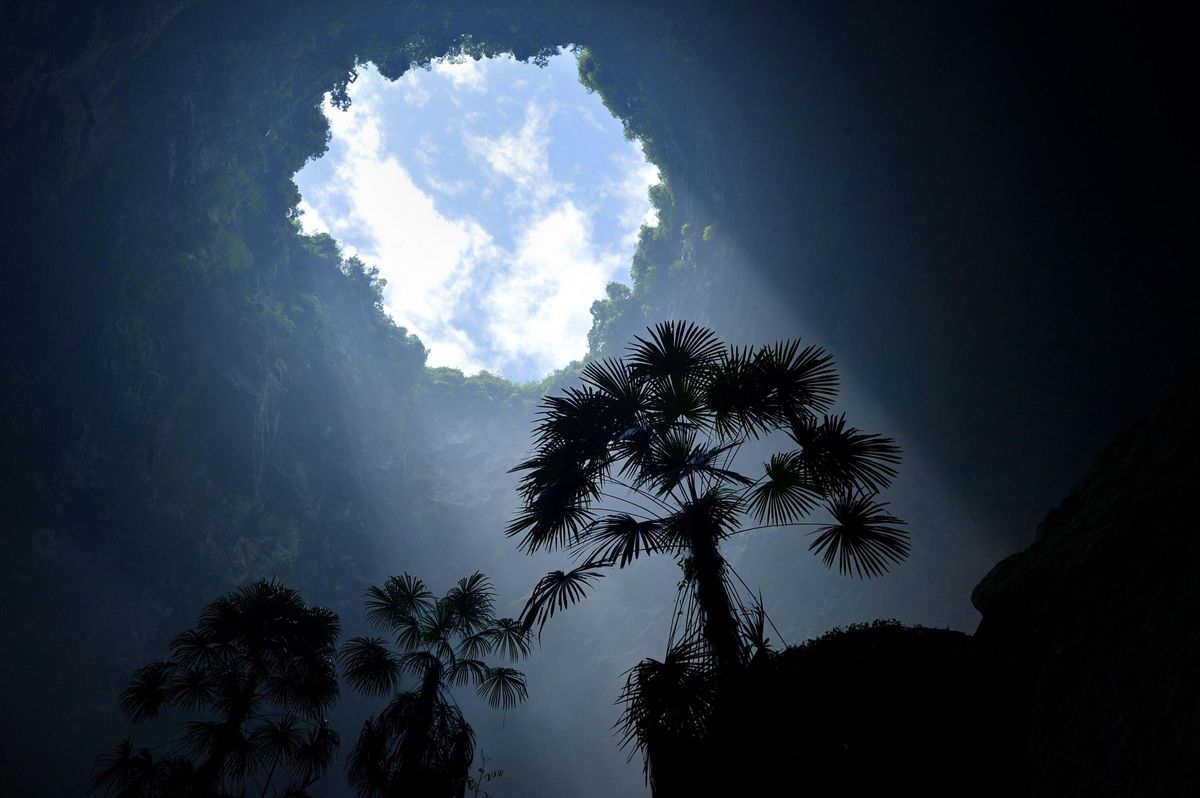 Kawah besar di Tiongkok berisi hutan “surgawi” dengan tanaman yang beradaptasi dengan kehidupan bawah tanah yang keras