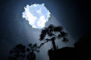 A tree in a dark sinkhole with a hole in the top showing blue sky and clouds.