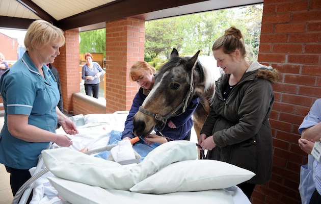 Dove House Hospice