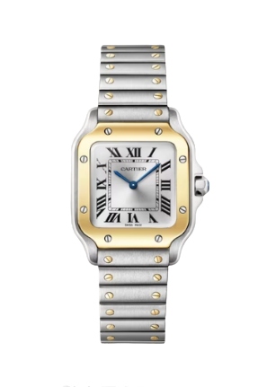 Santos De Cartier Watch
