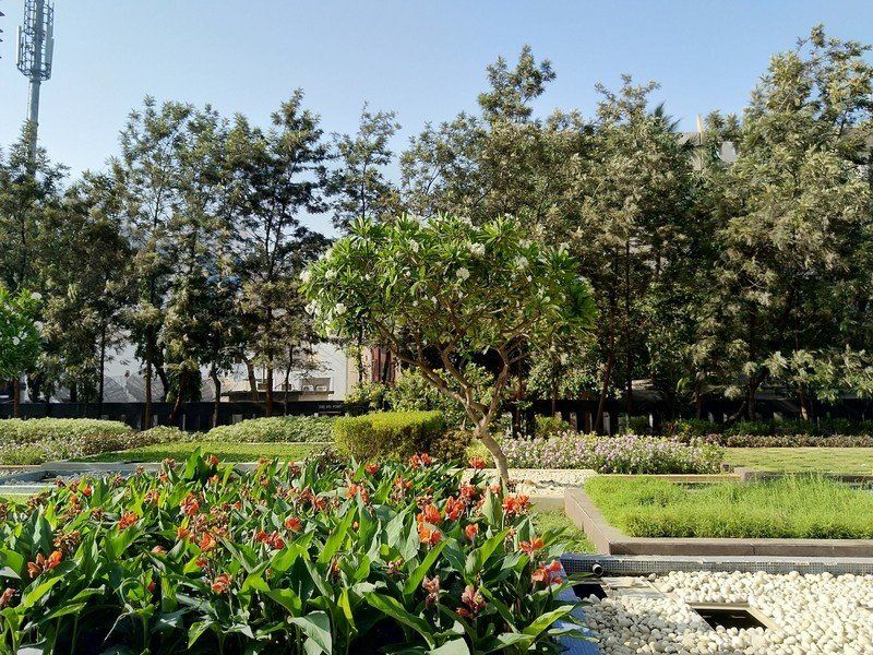 Nokia 7 Plus camera sample