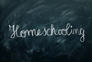 district-owned homeschooling
