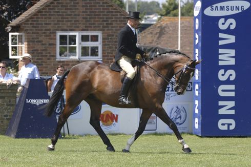 2006-captain-hastings.jpg