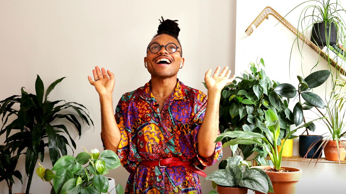 Help indoor plants thrive this fall with 4 tips from the Plant Kween