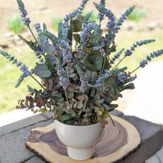Lavender Arrangement in a Pot 