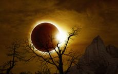 a total solar eclipse with a tree silhouette.