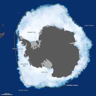Antarctic sea ice maximum