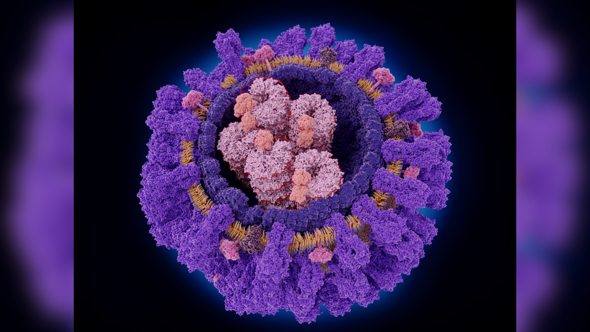 Neverbeforeseen antibodies can target many flu viruses Top Globe News