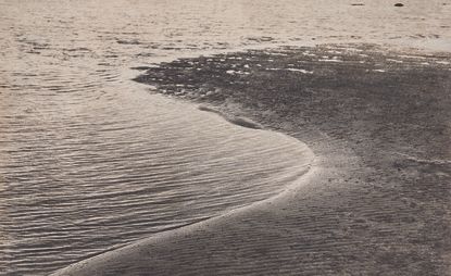 Black and white photo of a sea shore