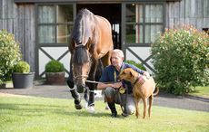 17-NICK_SKELTON_BIG_STAR-7347.jpg