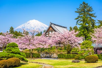 Shizuoka, Japan.