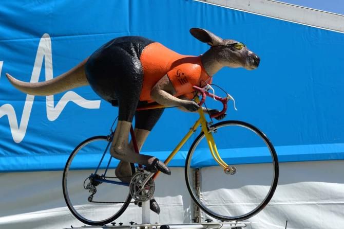 The cycling kangaroo is again the mascot for the Tour Down Under