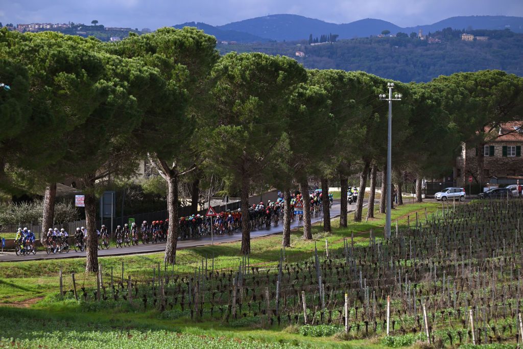 GUALDO TADINO ITALY MARCH 06 The peloton passes a Tuscany landscape with vineyards during the 59th TirrenoAdriatico 2024 Stage 3 a 225km stage from Volterra to Gualdo Tadino 527m UCIWT on March 06 2024 in Gualdo Tadino Italy Photo by Tim de WaeleGetty Images