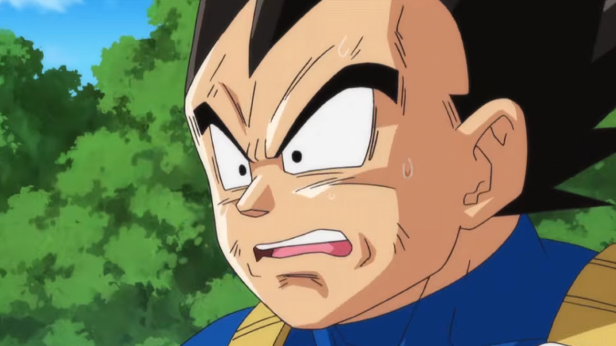 Vegeta reacting with shock after Bulma slapped Beerus. 