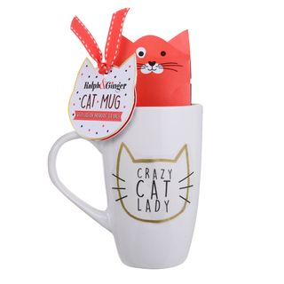 crazy cat lady mug