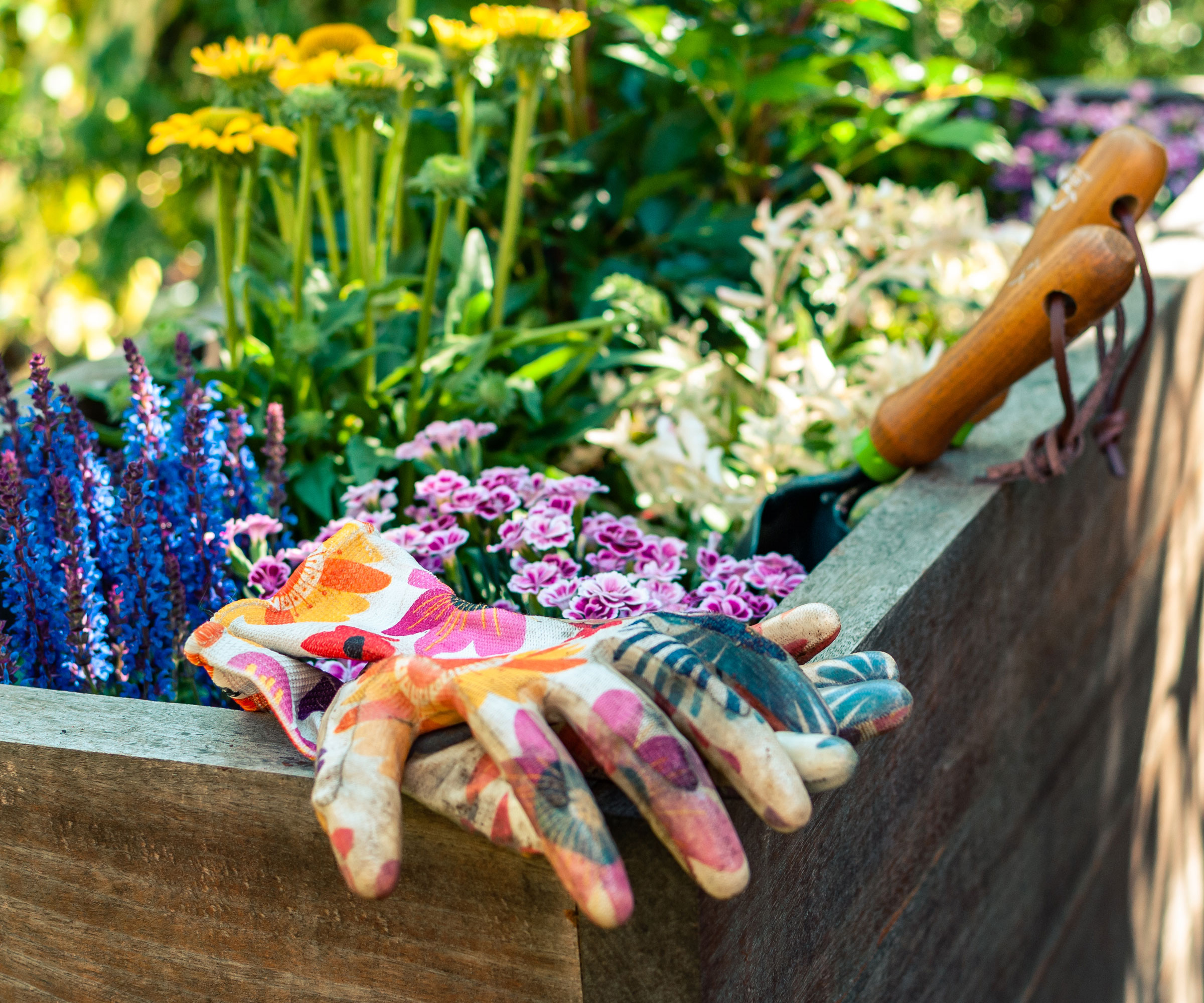 mixed planter of plants with trowel and colorful gloves resting on edge of planter