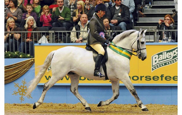 Olympia 2009 showing Farrier's Fingerprint