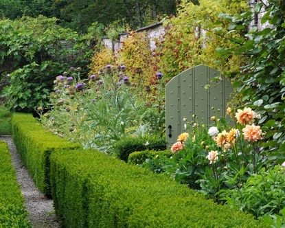 Garden gate ideas: 15 ways to make a strong first impression | Homes ...