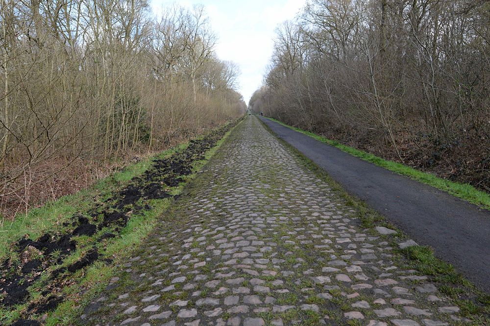 The Arenberg forest secteur
