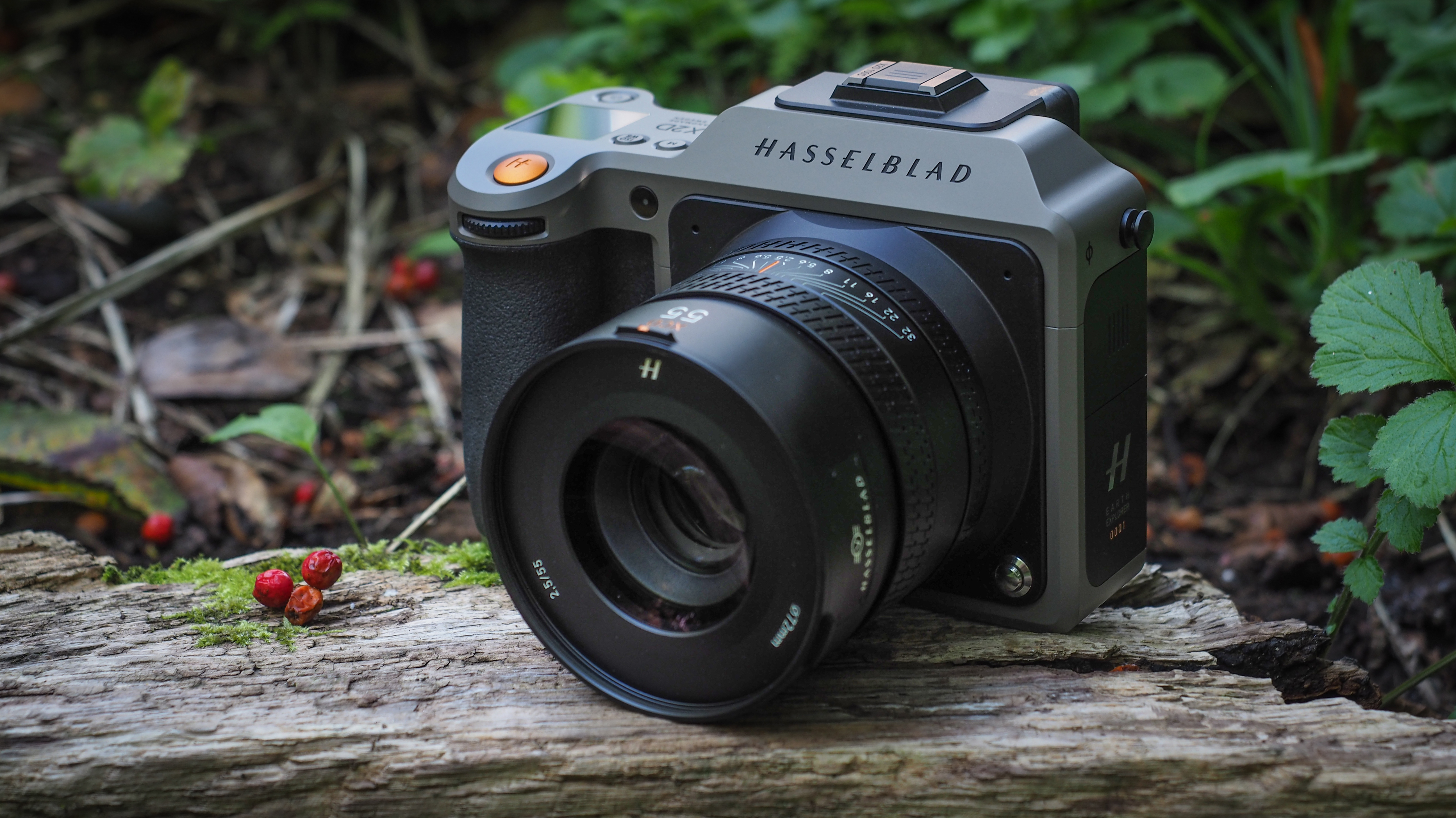 Hasselblad X2D 100C Earth Explorer Edition outdoors, in a woodland setting