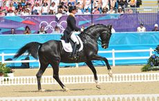 Anky van Grunsven and Salinero at the London Olympics