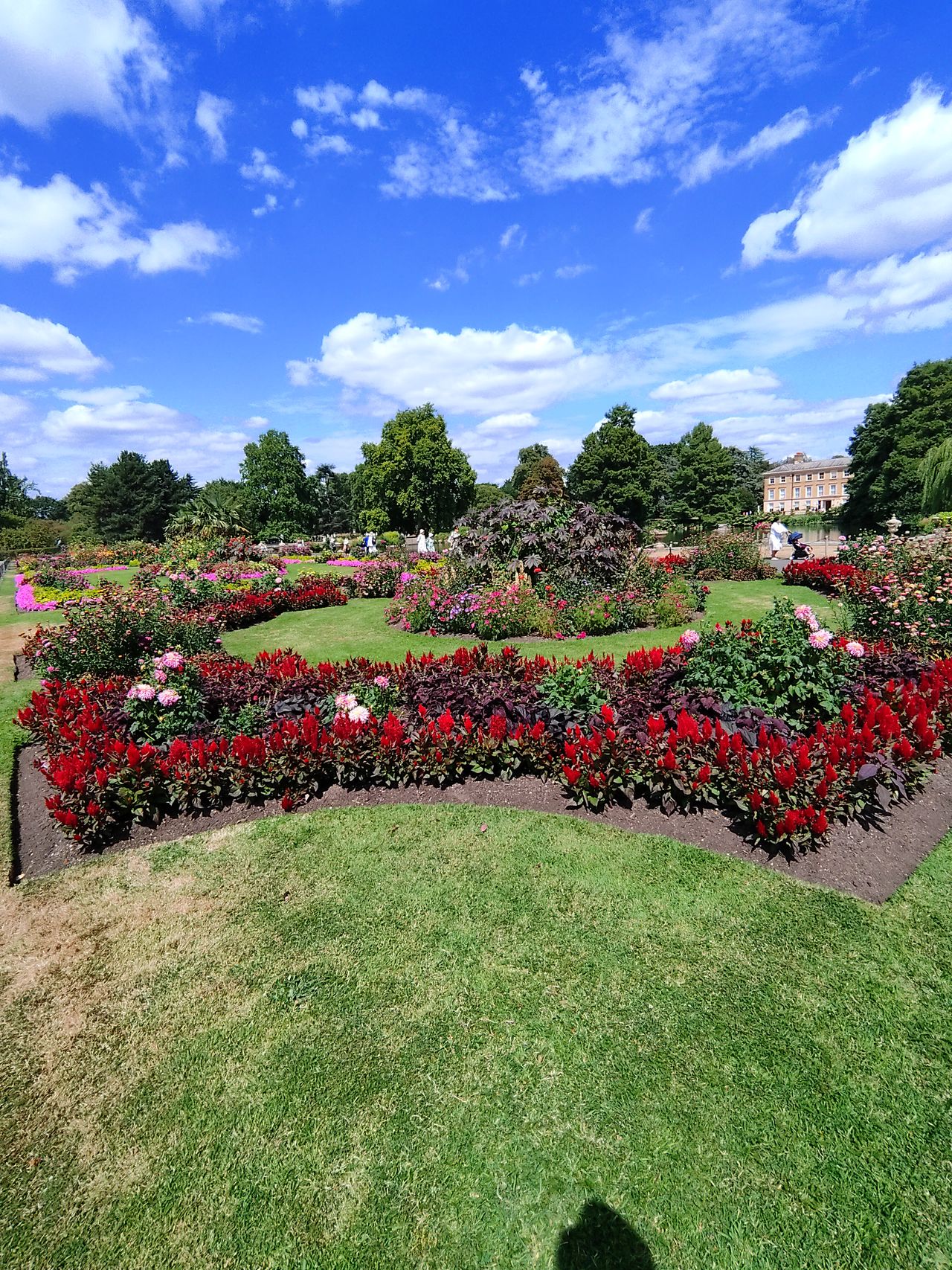 Sample image taken at Kew Gardens using the Rokid AI Glasses Style
