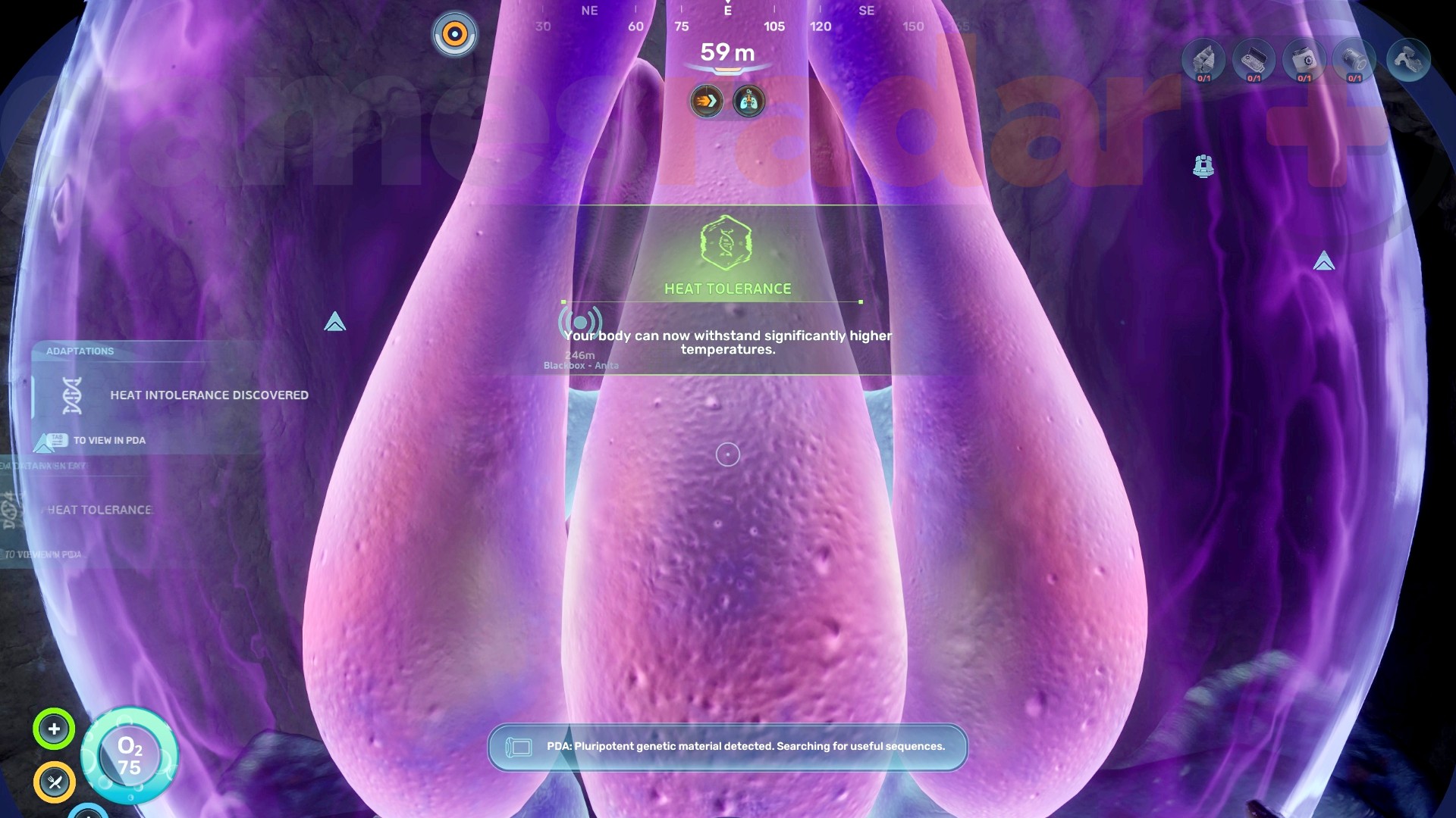 The player recieves the heat tolerance adaptation from an Angel Comb in Subnautica 2