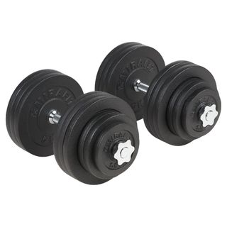 Two dumbbells with 12 cast-iron plates and silver spin locks on a white background