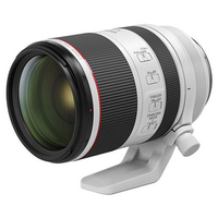 Canon RF 70-200mm f2.8L IS USM: