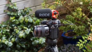 RØDE Microphones VideoMicro II - Compact On-Camera Shotgun… - Moment