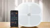 Sportneer Smart Scale