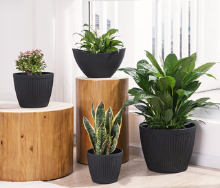 four black ridged plant pots of different sizes standing on different levels and holding plants